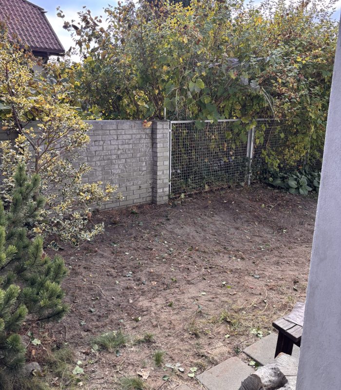 czyszczenie działki - 3 przed